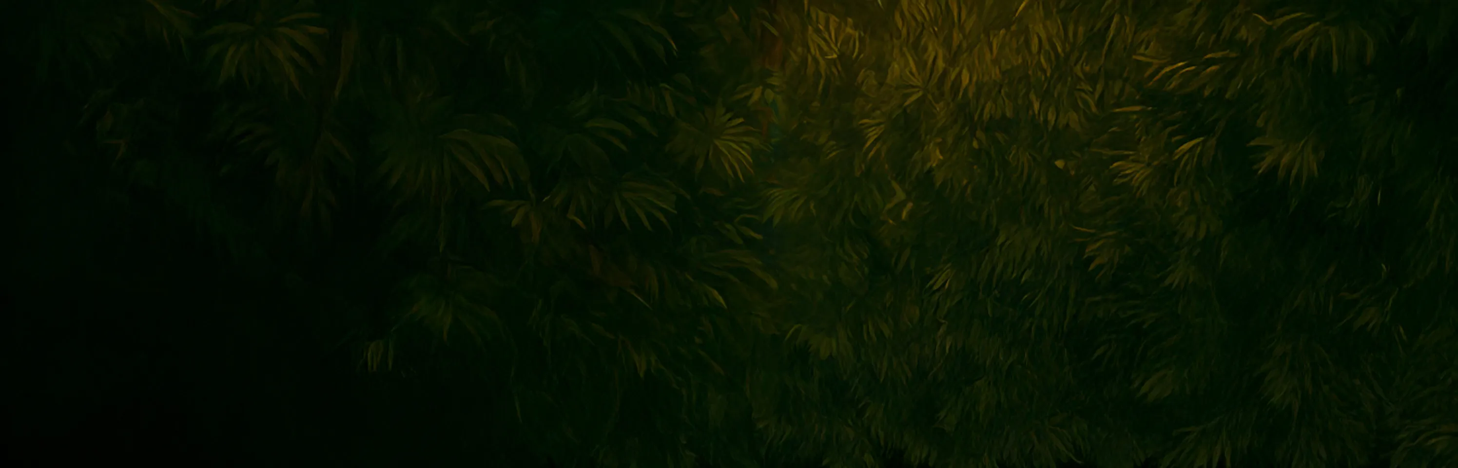 Willkommen bei Pflegepfadfinder Willkommen bei Pflegepfadfinder